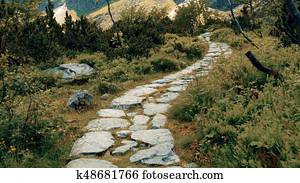 Mountainous forest rock path