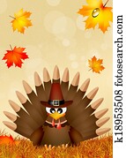 Turkey Turkey