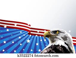 נשר קירח, דגל אמריקאי