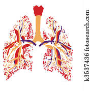 lungs lungs