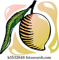 mango mango