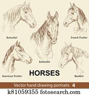 Set of hand drawing horses 4 Set of hand drawing horses 4