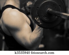 treinamento, barbell, ginásio, força