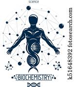vector, grafisch, illustratie, van, sterke, mannelijke, depicted, als, dna, symbool, voortzetting, en, gecreëerde, met, wireframe, connections., biotechniek, als, de, richting, van, genetics.