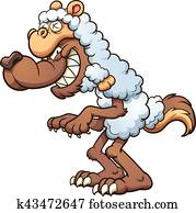 זאב, ב, sheeps', בגדים