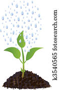 Green Young plant with rain drops Green Young plant with rain drops