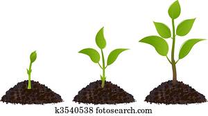 Green Young Plants Green Young Plants