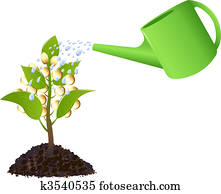 Money plant with watering can