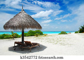 Relax in the Maldives Relax in the Maldives