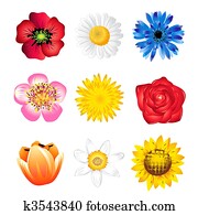 satz, von, frühjahrsblumen satz, von, frühjahrsblumen