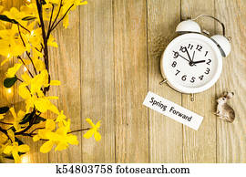 Spring Forward Spring Forward