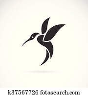 וקטור, דמות, של, an, האמינגבירד