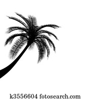 Black on white palm tree Black on white palm tree