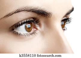 Female eyes Female eyes