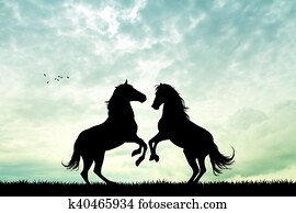 horses in love at sunset horses in love at sunset