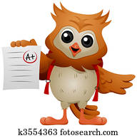 Owl student Owl student