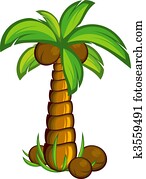 Palm tree Palm tree