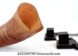 Shofar with Tefillin Shofar with Tefillin