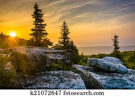 Sunrise at Bear Rocks Preserve, in Dolly  Sods Wilderness, Monon