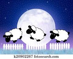 Counting sheep Counting sheep