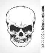 human skull human skull