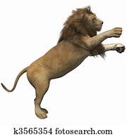 Lion Lion