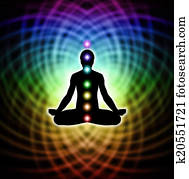 Chakra Healing Matrix