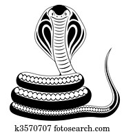 Snake, Cobra, tattoo Snake, Cobra, tattoo