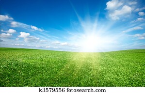 Sunset sun and field of green fresh grass under blue sky