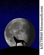 wolf moon wolf moon