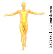 الرابح, الرجل, عن, أداة تعريف إنجليزية غير معروفة, الخلفية بيضاء