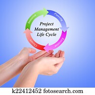 project management project management