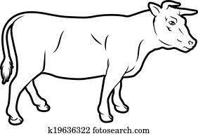 Beef cow illustration Beef cow illustration