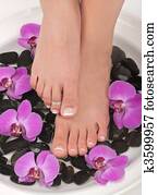 Pedicure Pedicure
