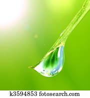 shine water drop