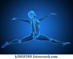 ballet dancer ballet dancer