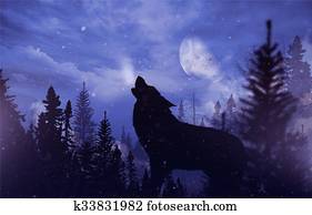 Howling Wolf in Wilderness Howling Wolf in Wilderness