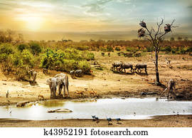 South African Safari Wildlife Fantasy Scene South African Safari Wildlife Fantasy Scene