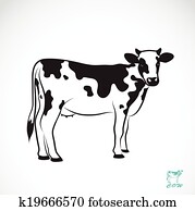 Vector image of an cow Vector image of an cow