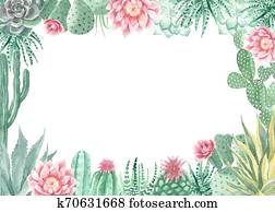 וואטארכולור, קקטוס, ו, בשרני