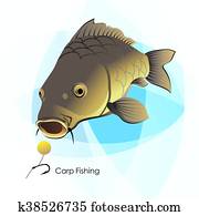 carpa, pesca