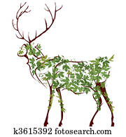 Deer illustration Deer illustration