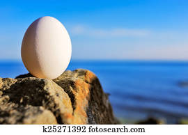 Egg on the coast