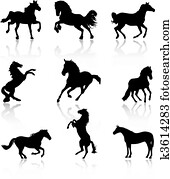 Horses Horses