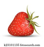 Strawberry Strawberry