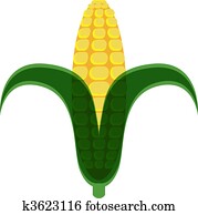 Corn Cob Corn Cob