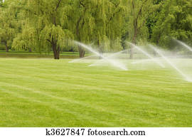 ריווי, ה, מדשאה