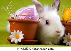 Easter Bunny Easter Bunny