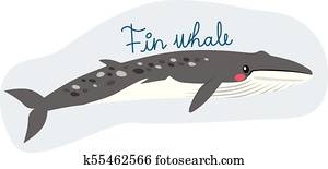 flosse, wal flosse, wal