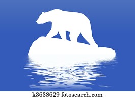 Polar bear Polar bear